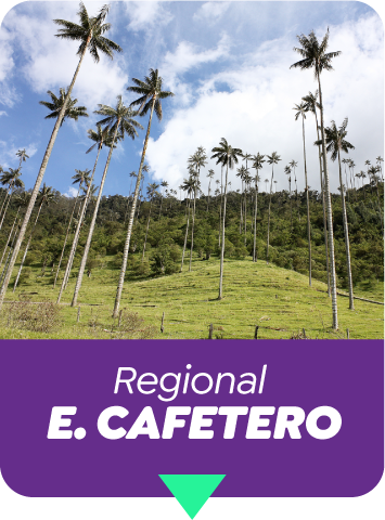 Eje Cafetero