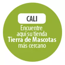 CALI