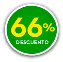 66