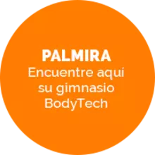 BodyTech