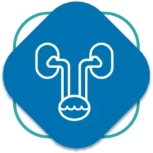 Urología