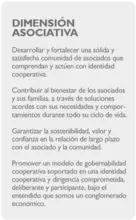 DIMENSIÓN ASOCIATIVA1