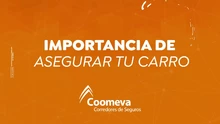 Video importancia
