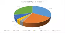 FIC 365 agosto-Por Tipo de Inversión