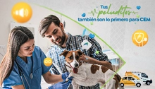Orientación Médica Veterinaria Telefónica