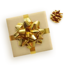 regalo1