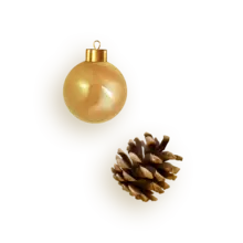 pino2