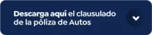 Clausulado autos