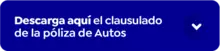 Clausulado Autos
