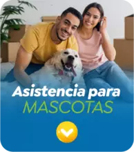 ASISTENCIA PARA MASCOTAS