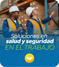 SERVICIOS PARA SEGURIDAD LABORAL