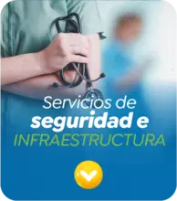 SERVICIOS DE SEGURIDAD E INFRAESTRUCTURA