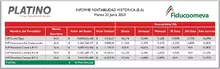 Platino, informe de rentabilidad histórica