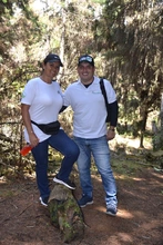 Jornada de siembra de árboles