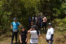 Jornada de siembra de árboles