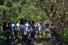Jornada de siembra de árboles