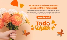 BANNER-REVISTA