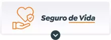Seguro de vida adquirir