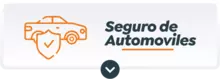Seguro de automóviles adquirir