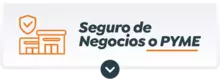 Seguro de negocios o PYME Aprovechar