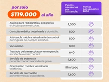 PLAN CEMON
