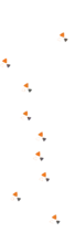 Fondo