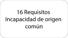 16 Requisitos 