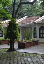 Externo 1