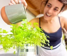 Claves para tener una huerta en casa