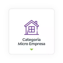 Micro empresa