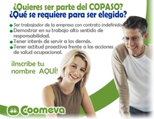 copaso2