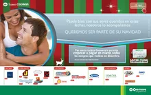 solteros