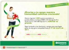 p_referidosDiciembre
