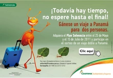 p_hormigas_Caribe